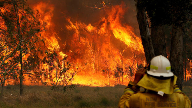 Smoke fills the sky in Port Macquarie 