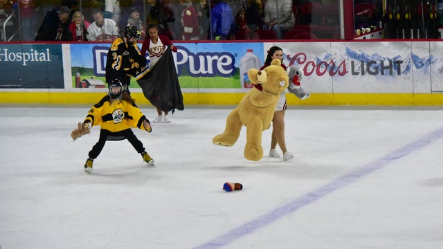 Teddy-Bear-Toss-1.jpg 