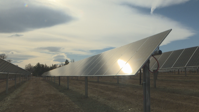 SOLINATOR GARDEN 6 PKG.transfer_frame_0