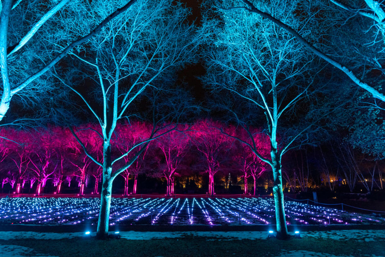 Lightscape Kicks Off Friday At Chicago Botanic Garden CBS Chicago