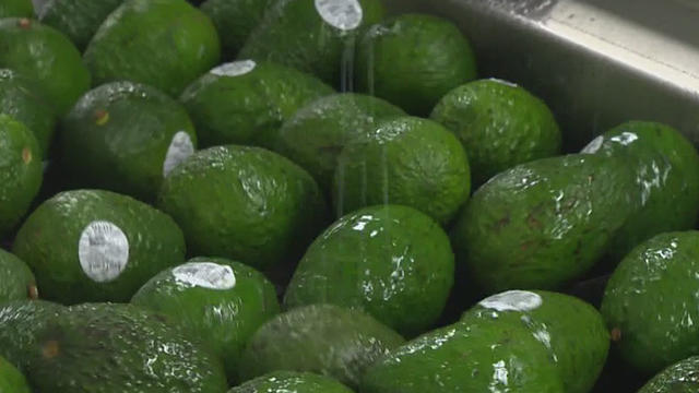 sprayed-avocados.jpg 