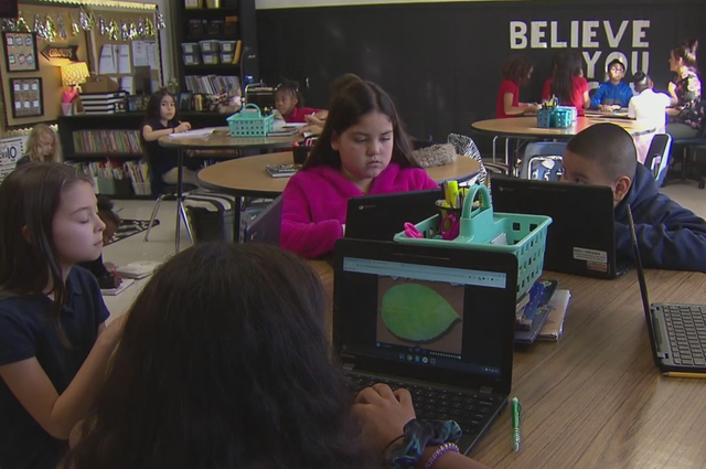 Freeman Elementary School 