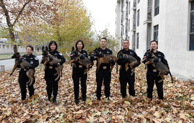 china-police-cloned-dogs.jpg 