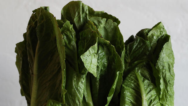 First Death Reported Related To E Coli Outbreak Sourced To Romaine Lettuce 