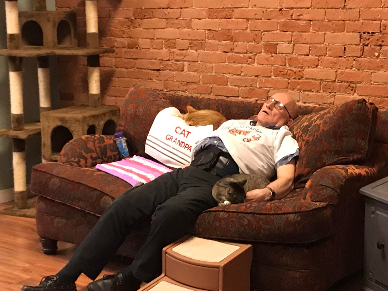 Terry Lauerman, "cat grandpa" who naps with cats, has helped raise