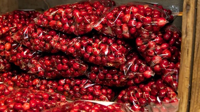 fresh-cranberries-maine-harvest-festival-promo.jpg 