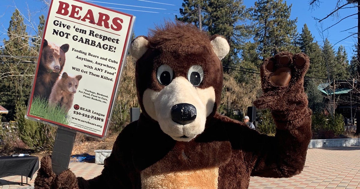 Community Holds Another Rally To Remember Bear That Was Trapped, Killed ...