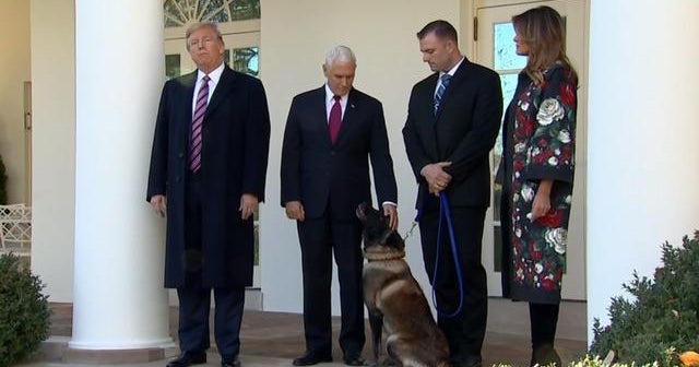 Trump honors military dog at White House - CBS News
