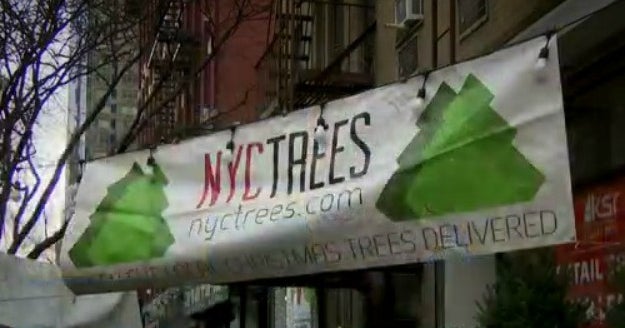 'They Are The Heroes Of New York' Christmas Tree Home Delivery Company Giving Back To FDNY