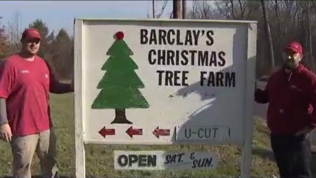 Barclay's Tree Farm 