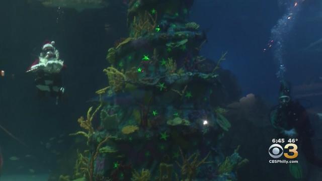 underwater-christmas-tree.jpg 