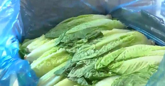 CDC reports 67 cases of E. coli linked to romaine lettuce