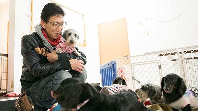 takahashi-with-dogs.jpg 