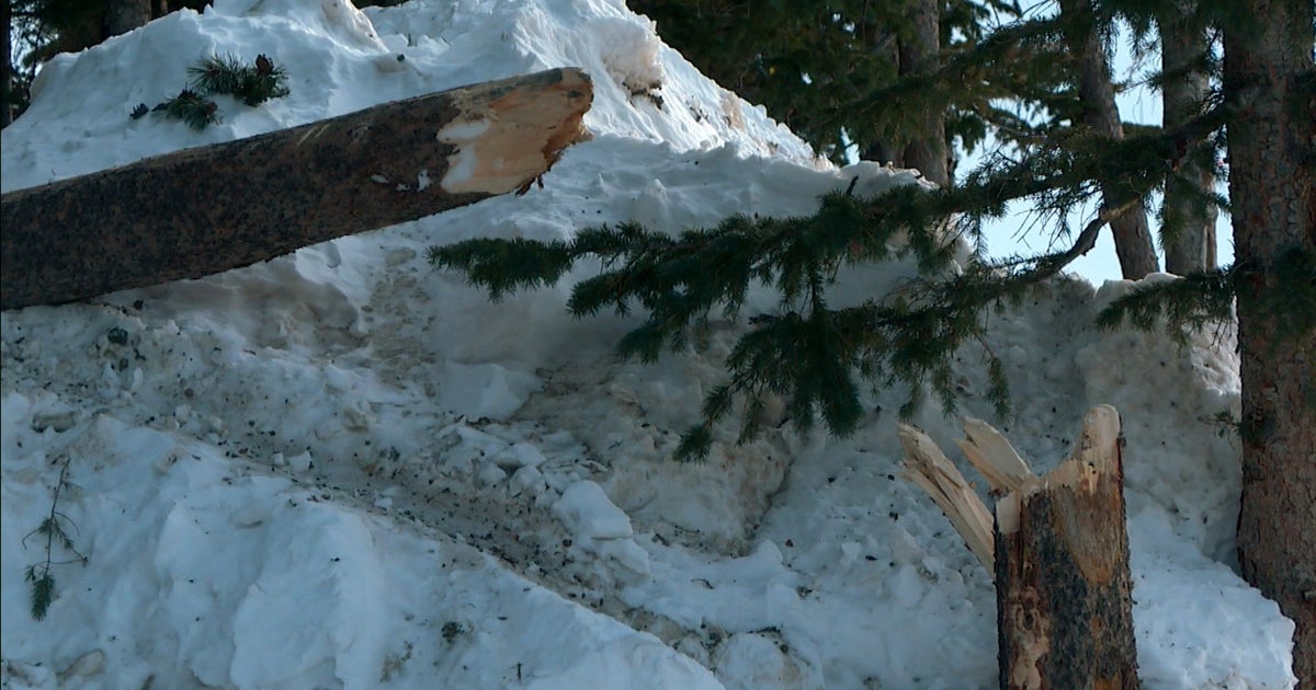 High Winds At Eldora Mountain Resort Knock Down Trees, Cause Power ...