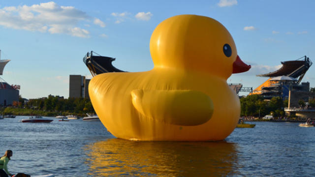 giantrubberduckpittsburgh.jpg 