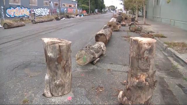 oakland-homeless-logs.jpg 