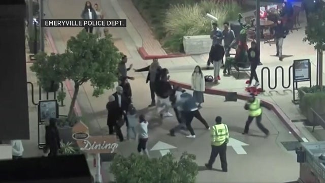emeryville-fight.jpg 