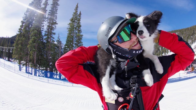 Loveland-Avalanche-Dog-4-Dustin-Schaefer-of-Lvld-ski-area.jpg 