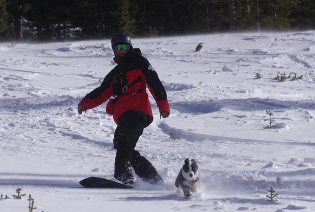 Loveland Avalanche Dog 1 (Dustin Schaefer of Lvld ski area) 