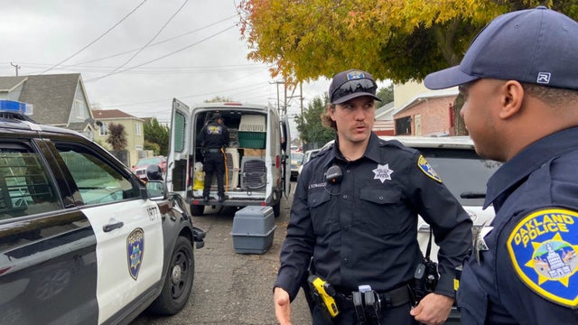 Oakland-stolen-van-dogs-3.jpg 