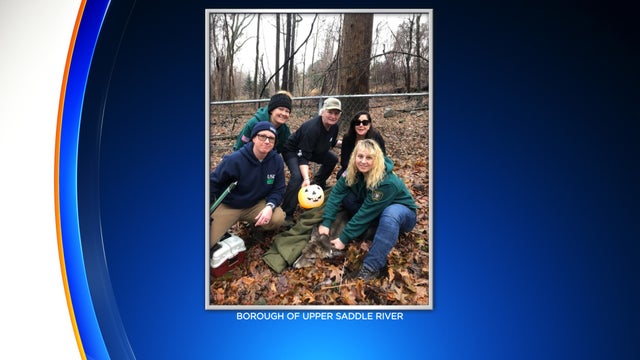 Upper-Saddle-River-deer-rescued.jpg 