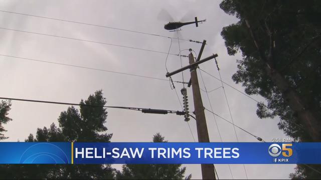 helisaw-trims-trees.jpg 