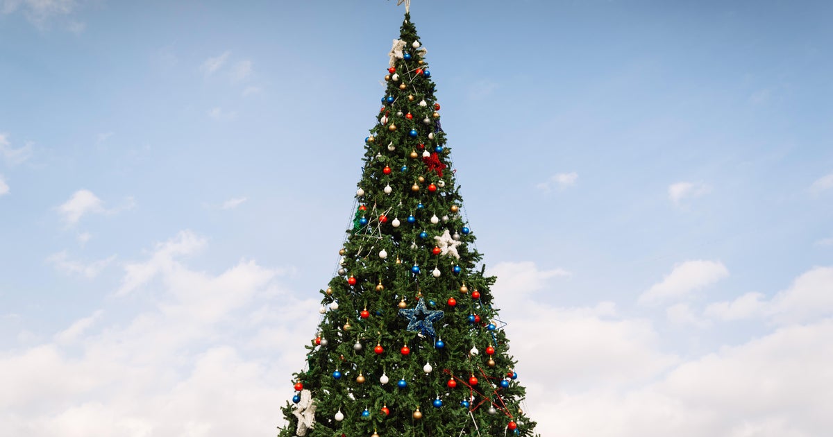 how-much-does-a-christmas-tree-cost-in-new-york-city-up-to-6-500-from