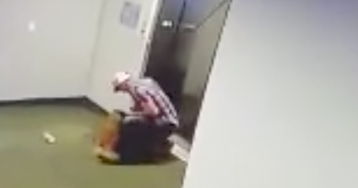 Texas Man Saves Dog After Leash Caught In Elevator Doors CBS DFW