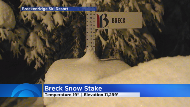 Ski - Breck Snow Stake 