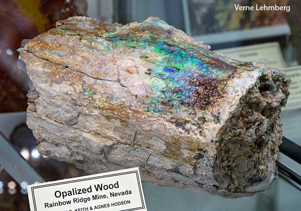 Nature up close: The New Mexico Bureau of Geology & Mineral Resources ...
