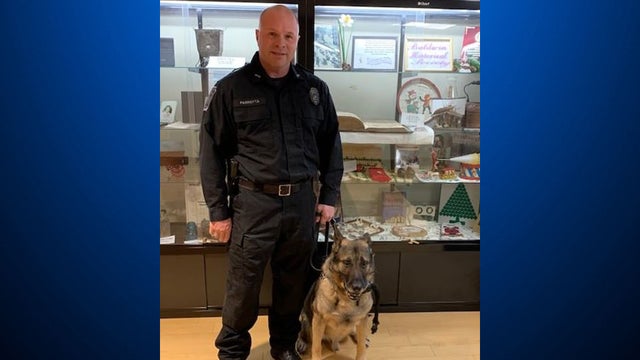policedogniko.jpg 