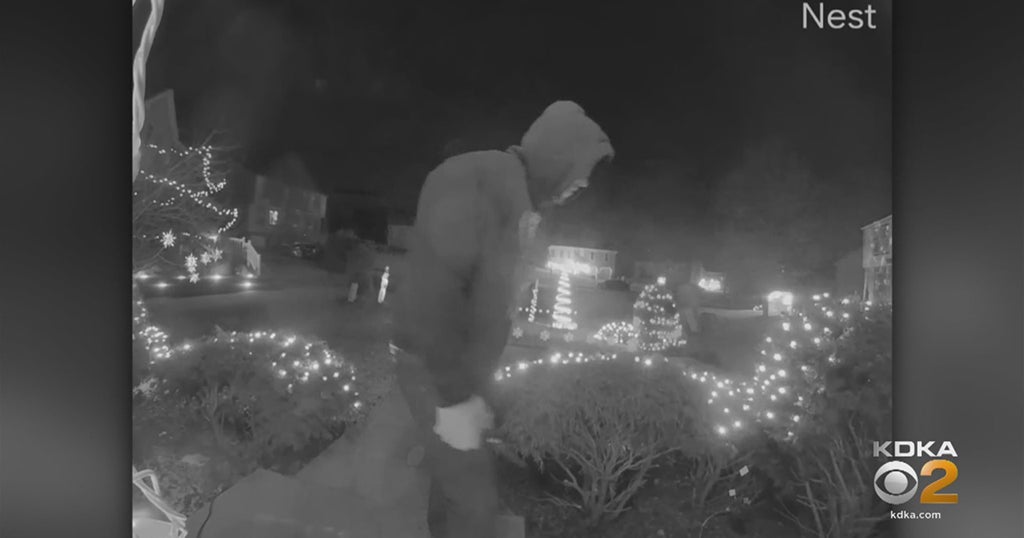 RealLife 'Grinch' Caught On Camera Cutting Down Christmas Lights CBS