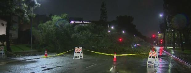 Treacherous Winds, Rain Downs Trees In Ventura, Woodland Hills 