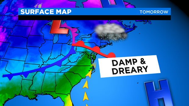 JL Surface Animation 1 