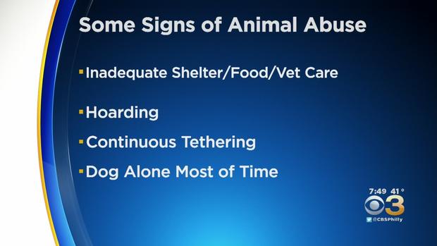 Signs of Animal Abuse 