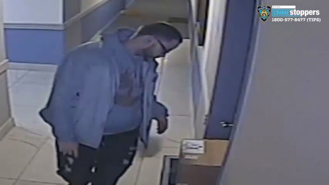 Bronx-package-thief-NYPD.jpg 