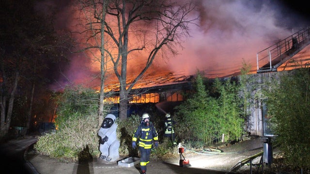 GERMANY-ZOO-ANIMALS-FIRE 