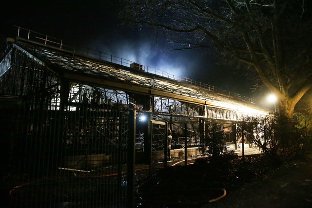 GERMANY-ZOO-ANIMALS-FIRE