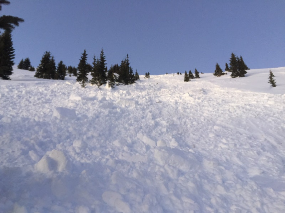 Lizard Head Avalanche 2 (CAIC) 