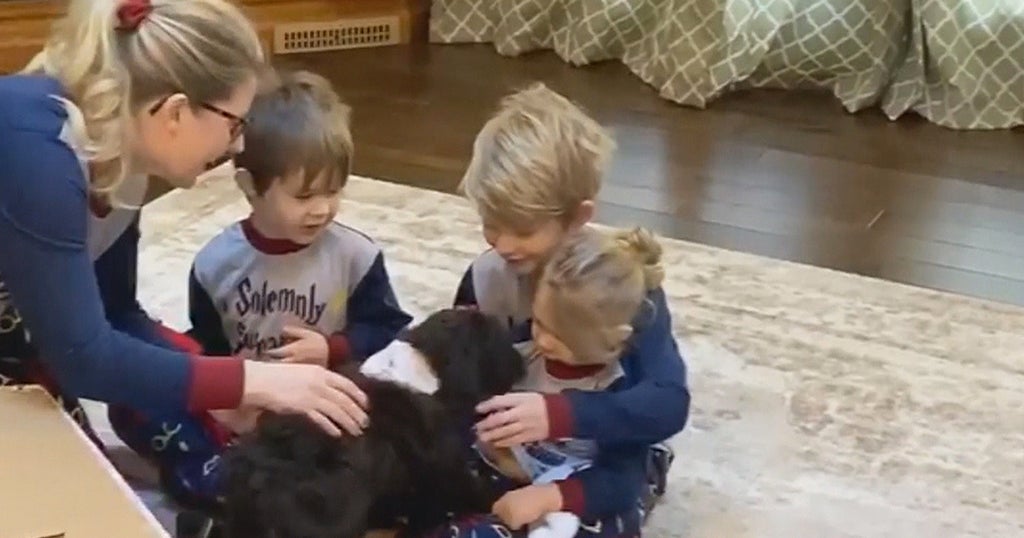 Boy Who Had Heart Surgery At Boston Children's Hospital Overjoyed To ...