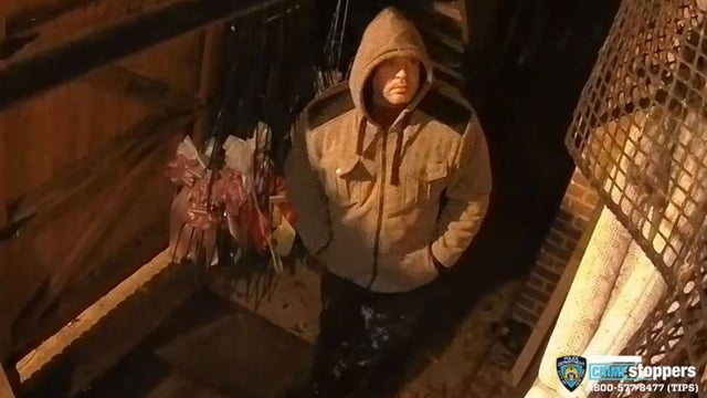 bronxflowershopburglary.jpg 