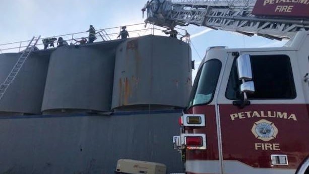 petaluma-silo-rescue.jpg 