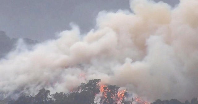 Rain brings some relief in Australia as fires take toll