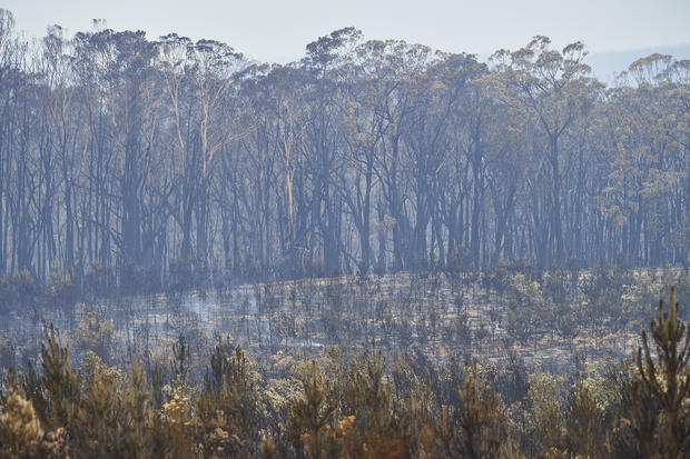 Hundreds Of Bushfires Continue To Burn Across NSW Despite Easing Conditions 
