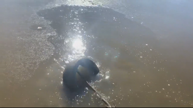 TRASH KIDS 5PKG.transfer_frame_1244 