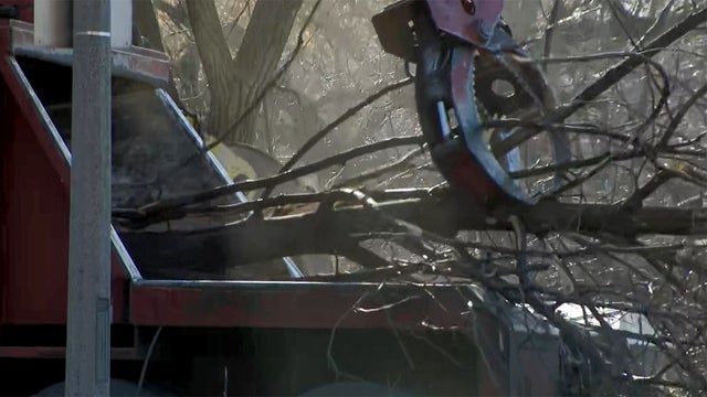 Legion_Park_Tree_Removal_0108.jpg 