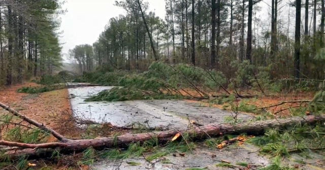 Tornadoes rip through the South as the Midwest gets hit with snow