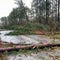 Tornadoes rip through the South as the Midwest gets hit with snow