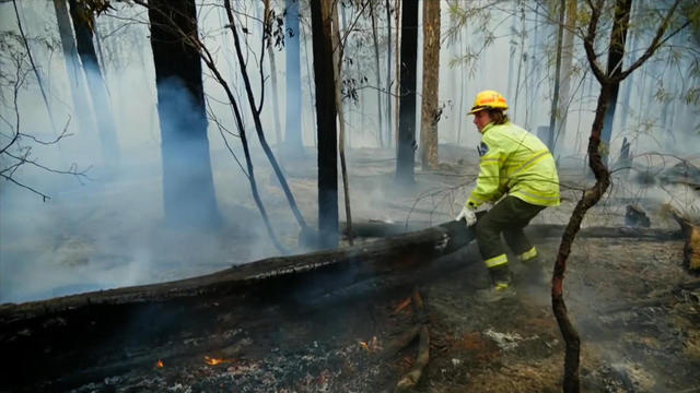 0112-en-firefightersaustrilia-yuccas-2006998-640x360.jpg 