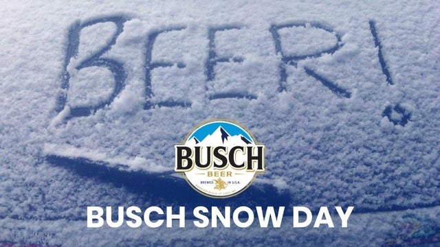 Busch-beer.jpeg 
